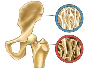 Knochenstruktur